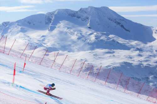 Alpin skiløper i Narvikfjellet